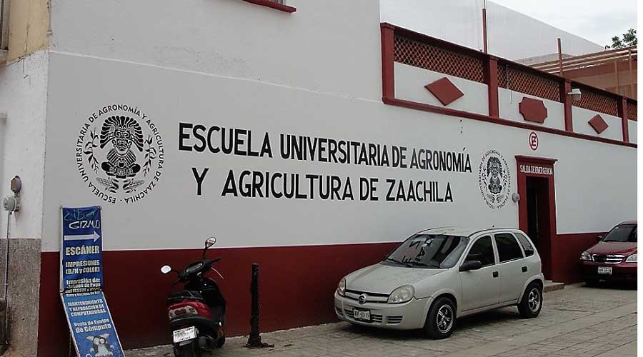 Mandan estudiantes de universidad de Zaachila carta a López Obrador | El Imparcial de Oaxaca