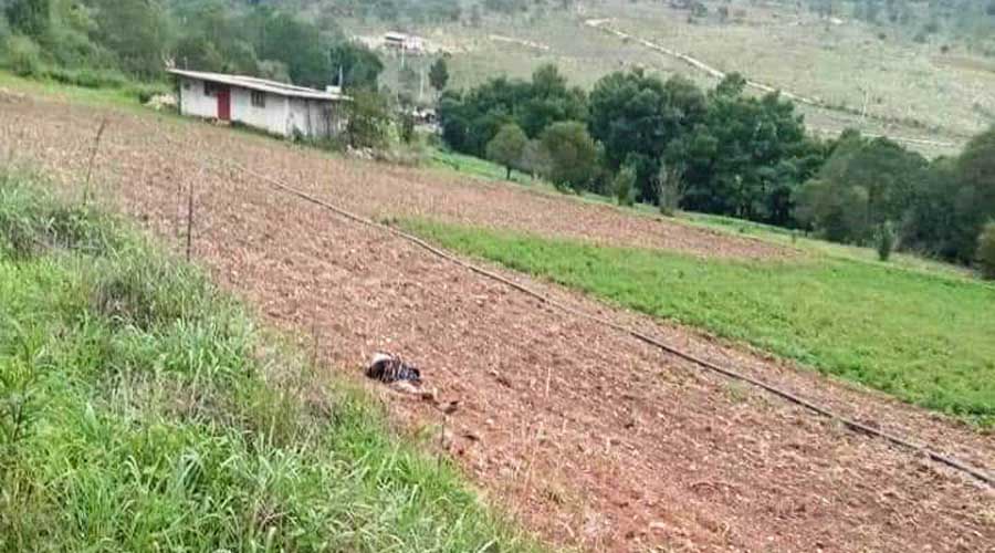 Encuentran cadáver de mujer en un terreno de siembra en Tlaxiaco | El Imparcial de Oaxaca