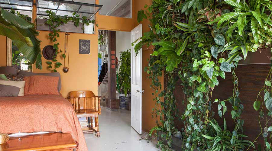 Jungle apartment: la nueva tendencia para los amantes de las plantas