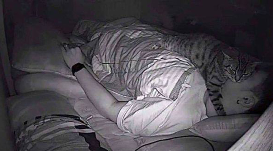 ¡Es real! Tu gato te asfixia al dormir. Joven pone cámara y lo descubre | El Imparcial de Oaxaca