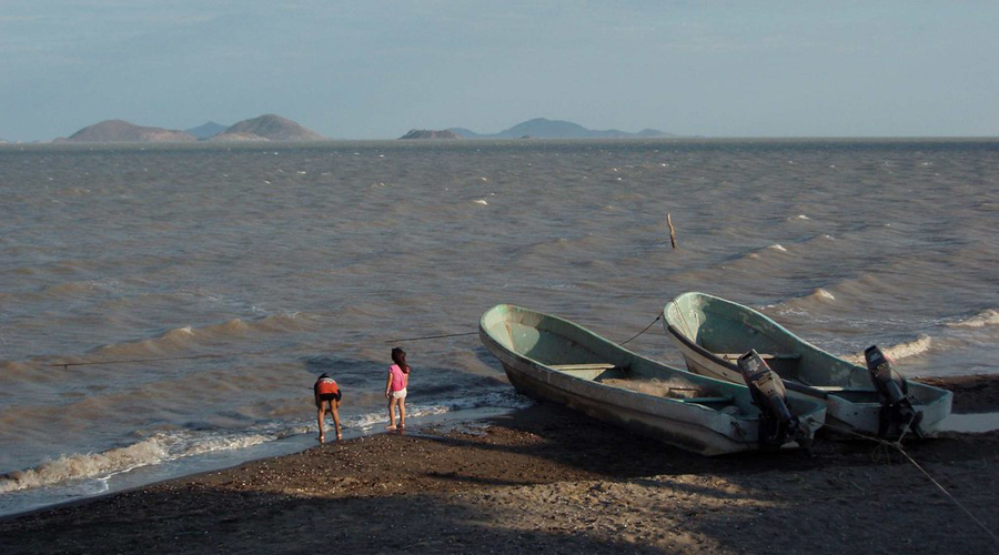 Sargazo llega a playas del Istmo; habitantes exigen acción del gobierno | El Imparcial de Oaxaca
