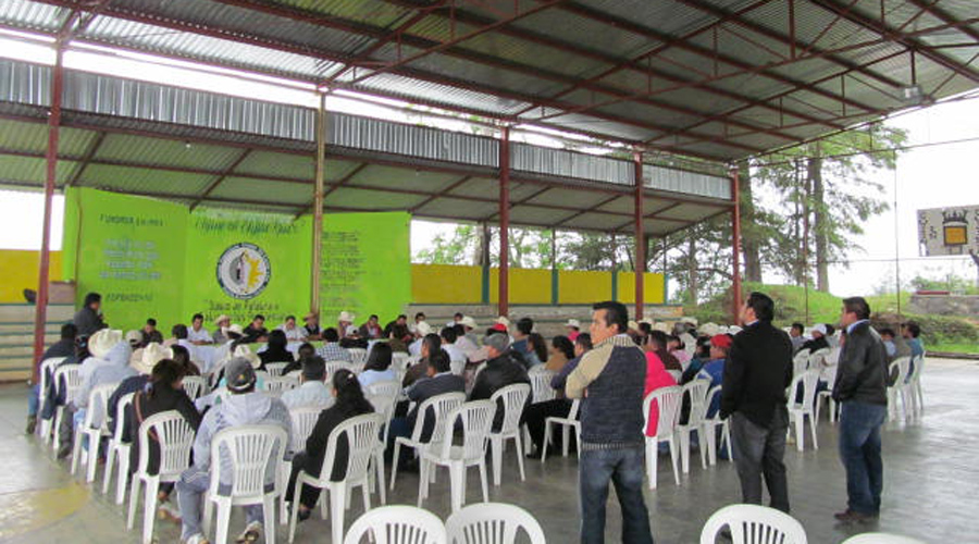 Invitan a la Expo de Azúcar Artesanal en la agencia de El Camarón, Huautepec | El Imparcial de Oaxaca