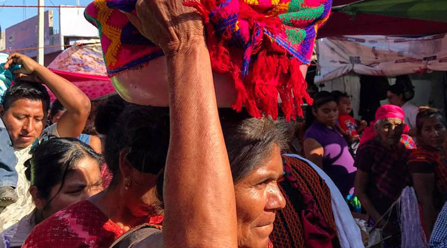 Mujeres indígenas Ikoots son motor de la economía familiar