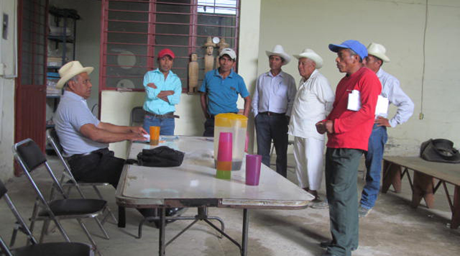 Cafeticultores mazatecos piden sistema de captación de lluvias | El Imparcial de Oaxaca