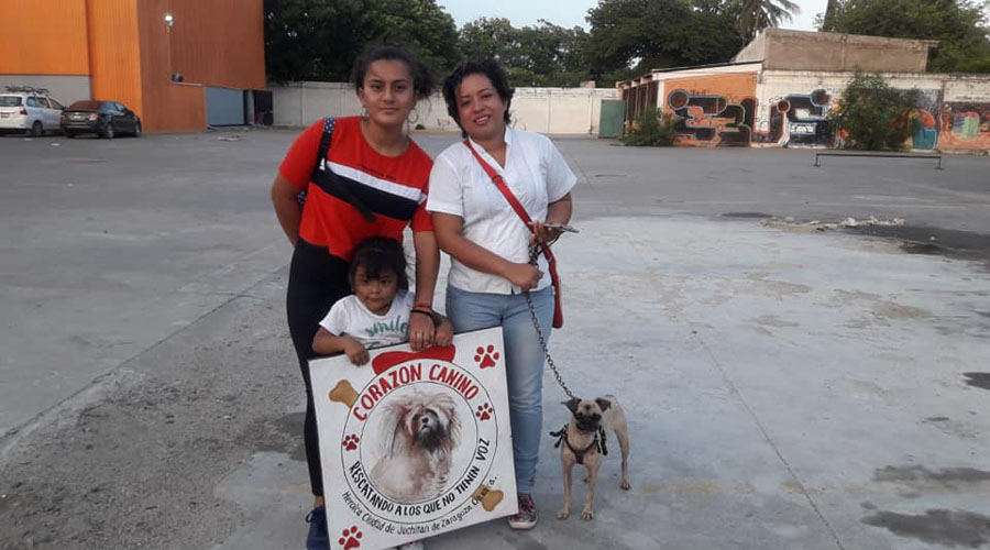 Corazón Canino; rescatando a los que no tiene voz en Juchitán