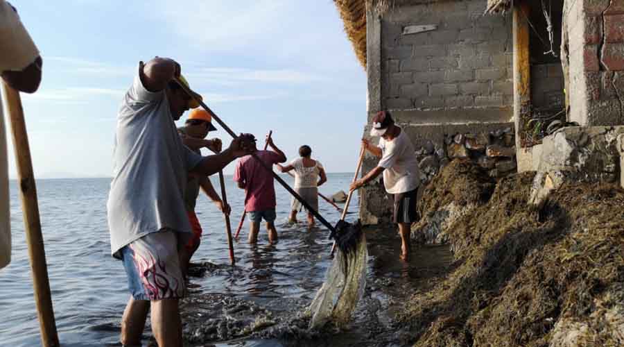 Descartan sargazo en Playa Vicente, Juchitán | El Imparcial de Oaxaca