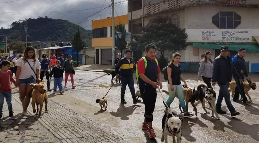 En la Mixteca, realizan el primer  encuentro canino
