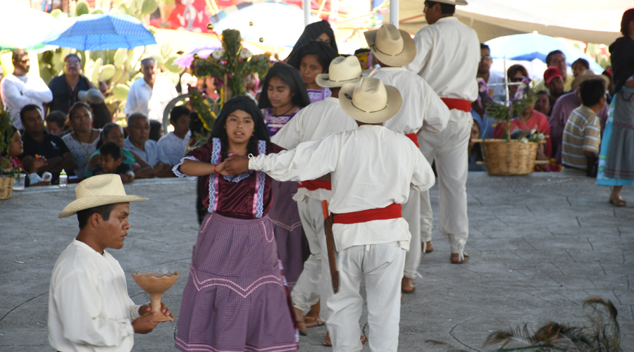Fiesta de color y música en Las Peñitas, Reyes Etla