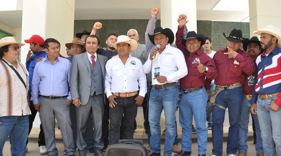 Echan reversa a Ley de Protección a los Animales en Oaxaca | El Imparcial de Oaxaca