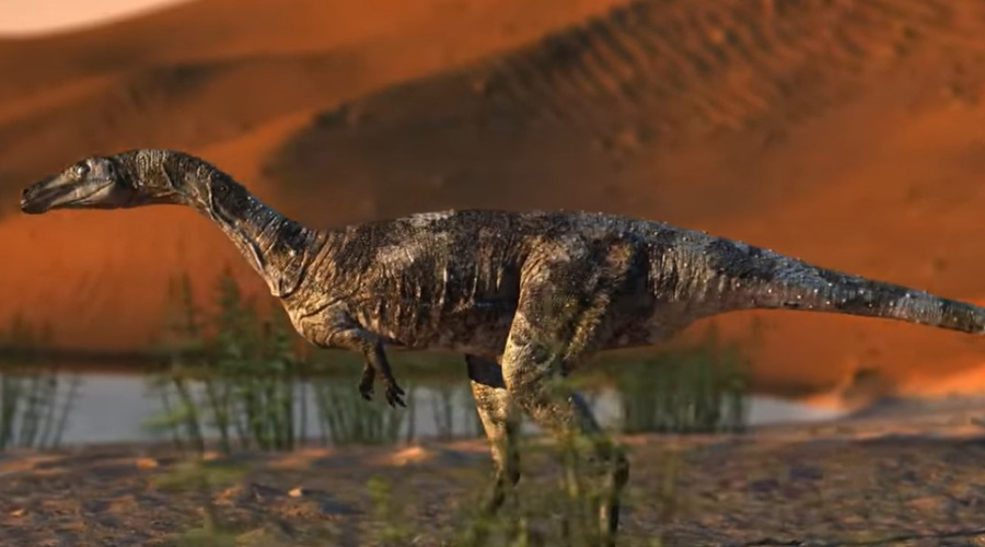 En Brasil, descubren restos de dinosaurio emparentado con velociraptor y tiranosaurio | El Imparcial de Oaxaca