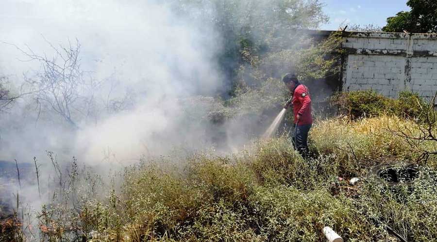 Se activa incendios de pastizales en Salina Cruz
