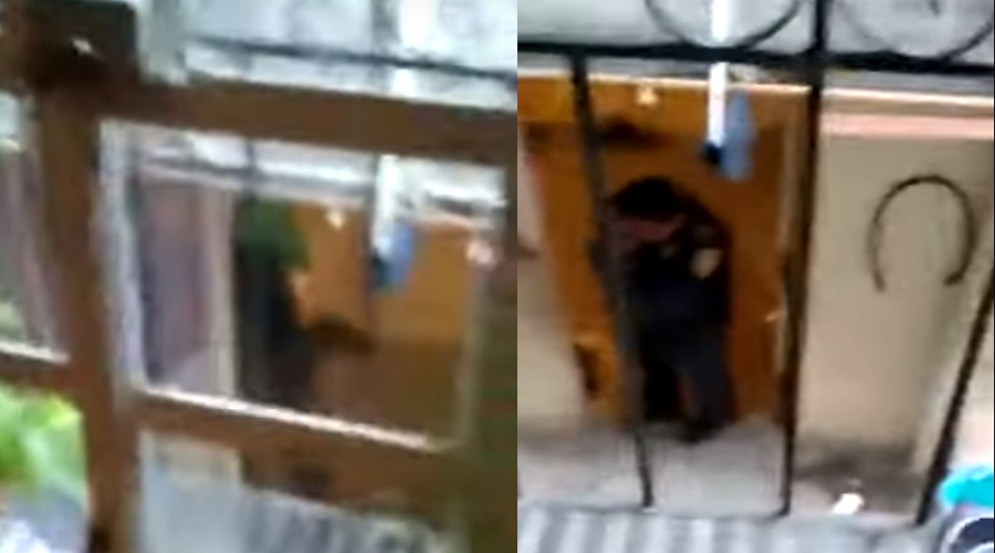 Video: Policías matan a tres personas y un perro en una vecindad | El Imparcial de Oaxaca Video: Policías matan a tres personas y un perro en una vecindad | El Imparcial de Oaxaca