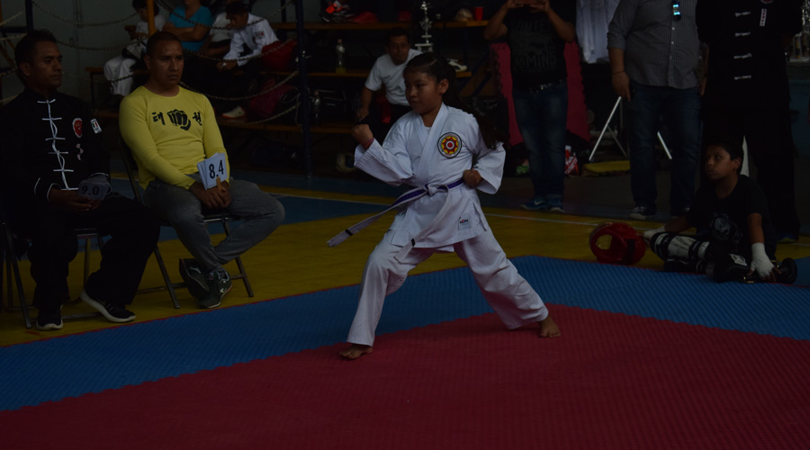 Celebran torneo nacional de artes marciales “Tigre Negro Oaxaca”