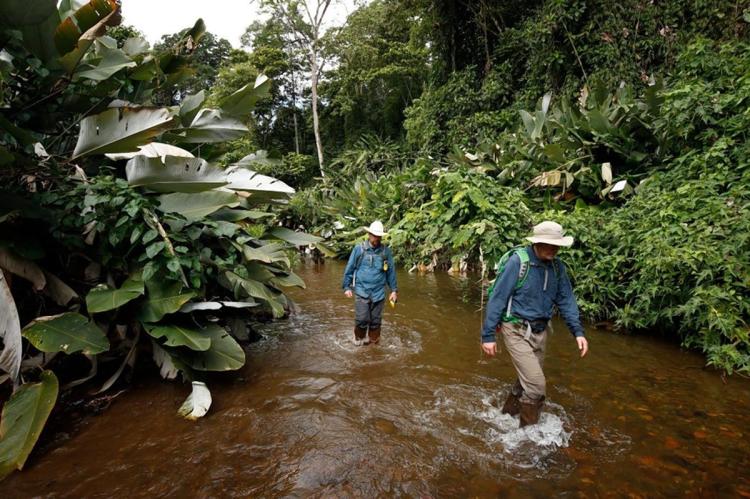 Descubren selva “perdida” en Honduras con animales que se creían extintos | El Imparcial de Oaxaca
