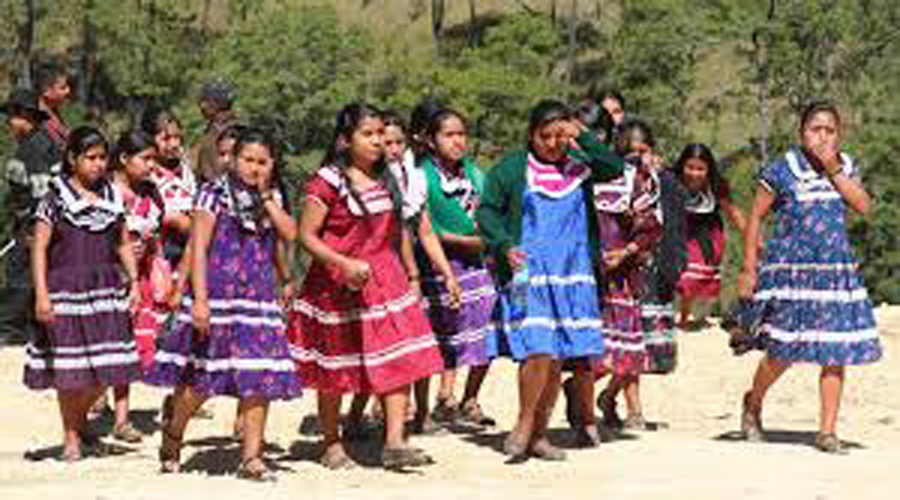 Oaxaca, punta de lanza de  grandes proyectos: Conacyt | El Imparcial de Oaxaca