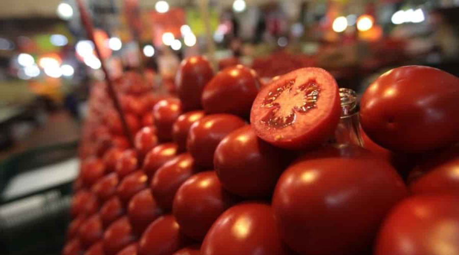 Caen negociaciones, EU no quita aranceles a tomate mexicano | El Imparcial de Oaxaca
