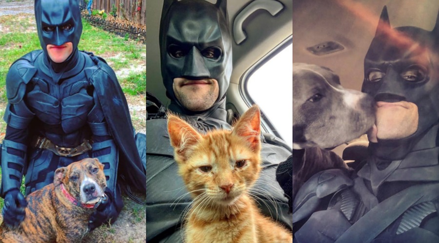 Doble superhéroe: disfrazado de Batman, rescata animales para darlos en adopción | El Imparcial de Oaxaca
