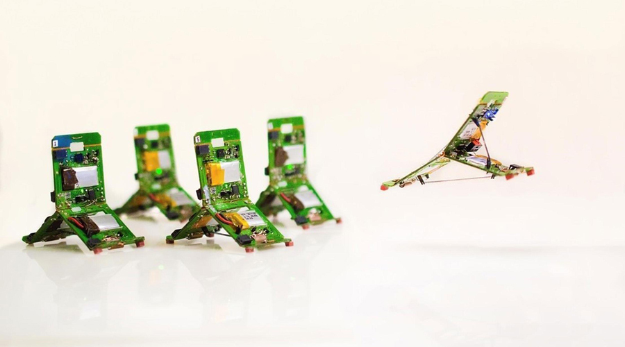 Crean robots con comportamiento de hormigas | El Imparcial de Oaxaca