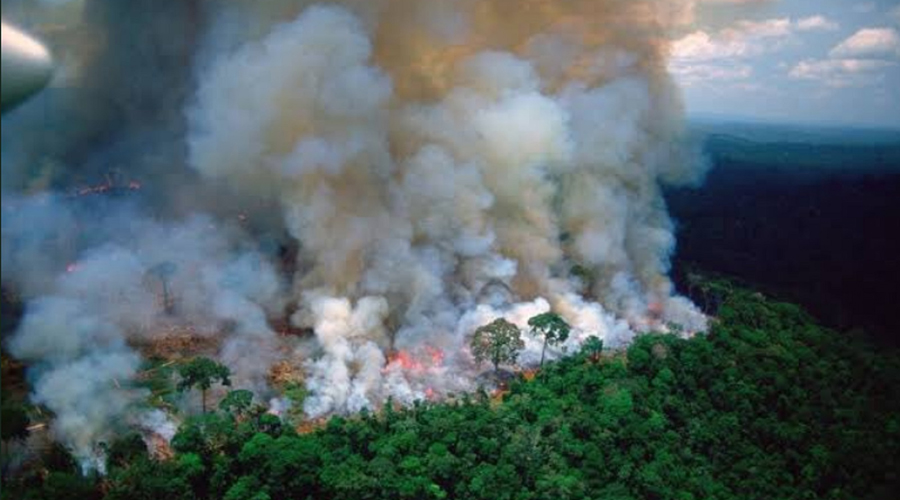 Preocupación mundial: arde el Amazonas, “los pulmones del mundo” | El Imparcial de Oaxaca