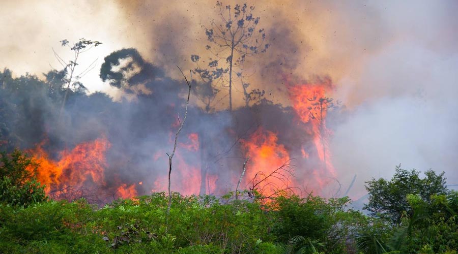 Acusa Bolsonaro a ONGs de causar incendios en el Amazonas | El Imparcial de Oaxaca