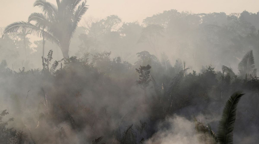 Grave daño al Amazonas y peligro para el entorno mundial, tras incendios en Brasil | El Imparcial de Oaxaca