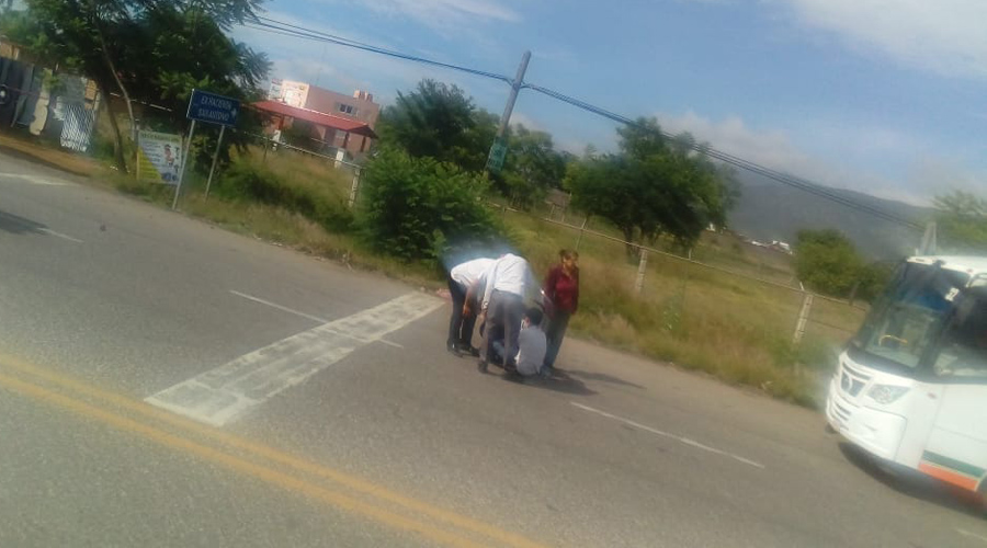 Lo embiste chofer de tractocamión sobre la carretera 190 | El Imparcial de Oaxaca