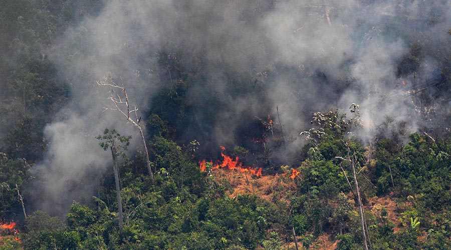 Países del G7 donarán 20 mdd para incendios del Amazonas