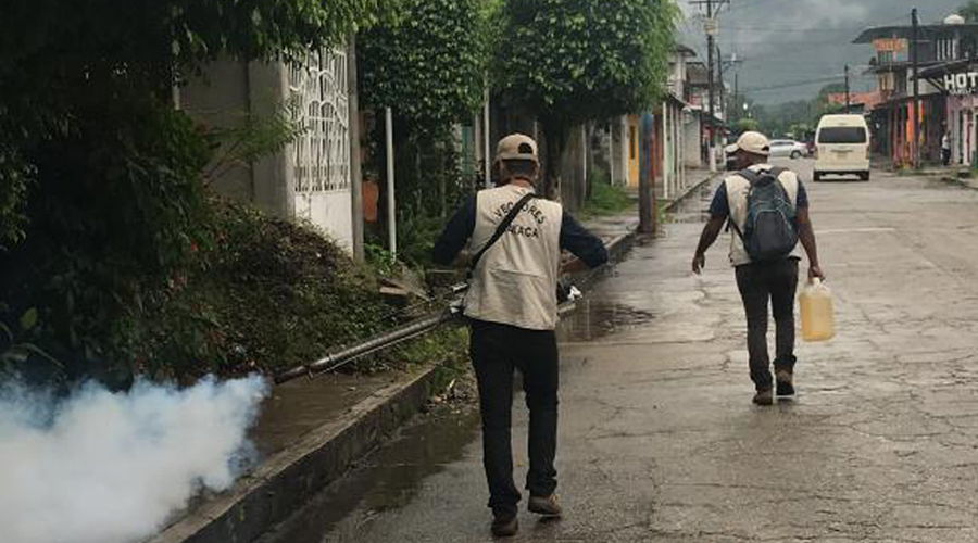Aumentan casos de dengue en la capital de Oaxaca | El Imparcial de Oaxaca