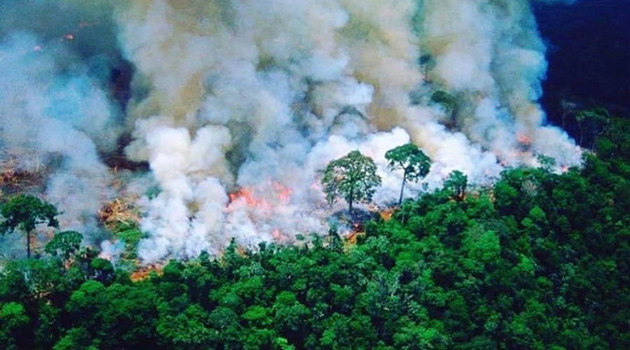 El Amazonas agoniza por incendio forestal | El Imparcial de Oaxaca
