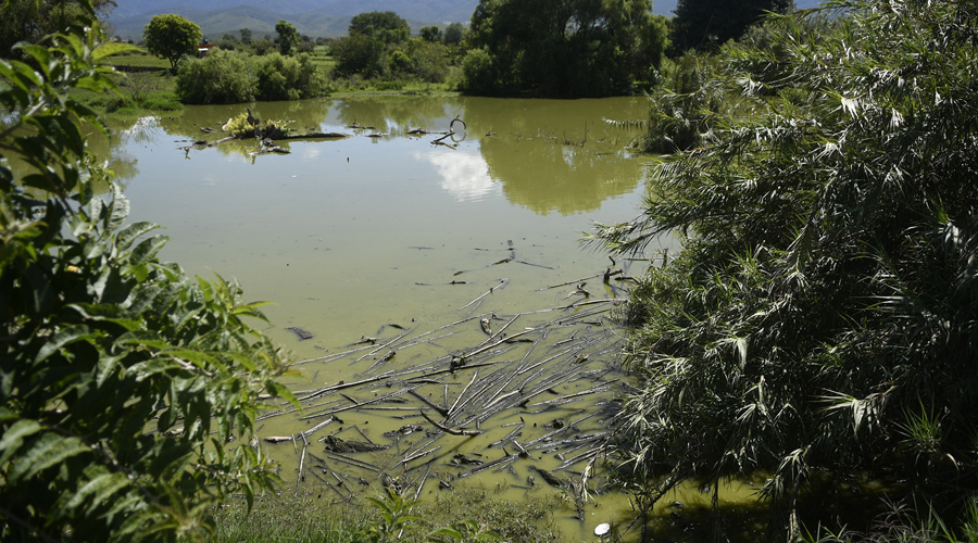 Río Atoyac y Salado, los más contaminados