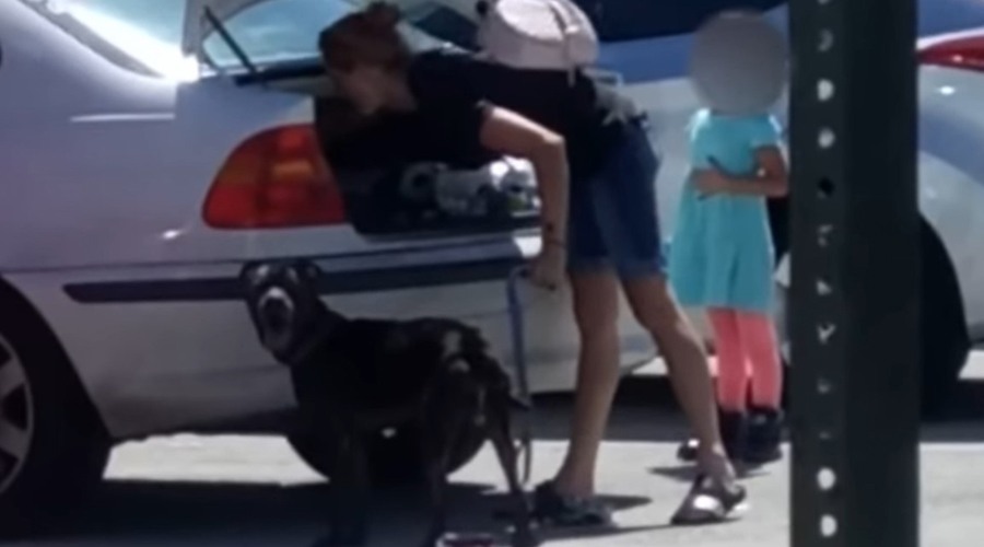 Video: Mujer maltrata a su perro ante negativa de sacrificarlo | El Imparcial de Oaxaca