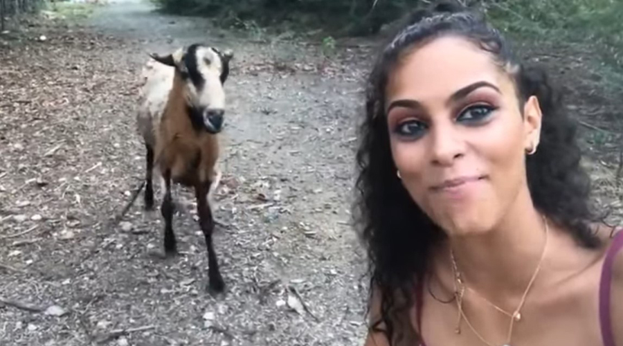 Por querer tomarse una selfie mujer recibe “topetazo” de una cabra | El Imparcial de Oaxaca