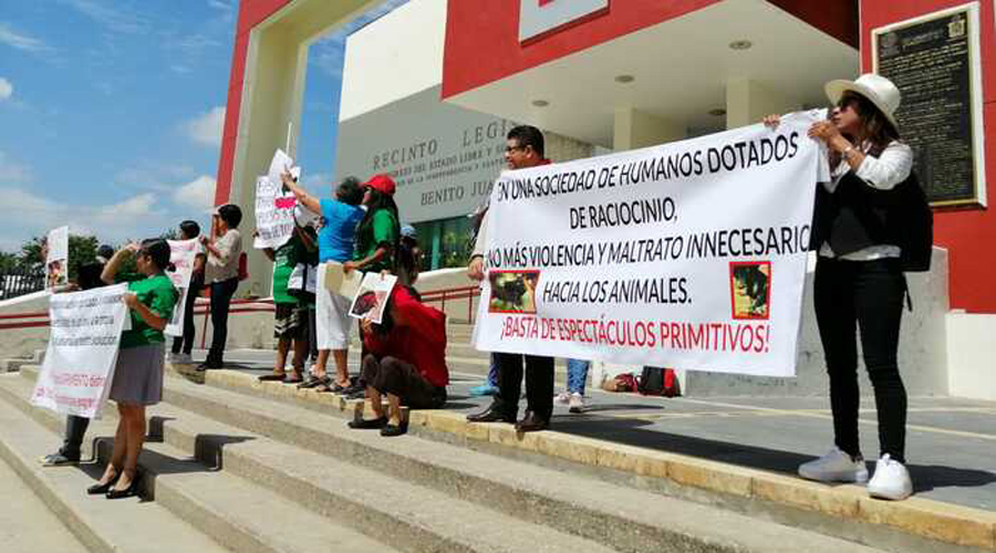 Animalistas exigen aprobar Ley de Protección a los Animales en Oaxaca | El Imparcial de Oaxaca