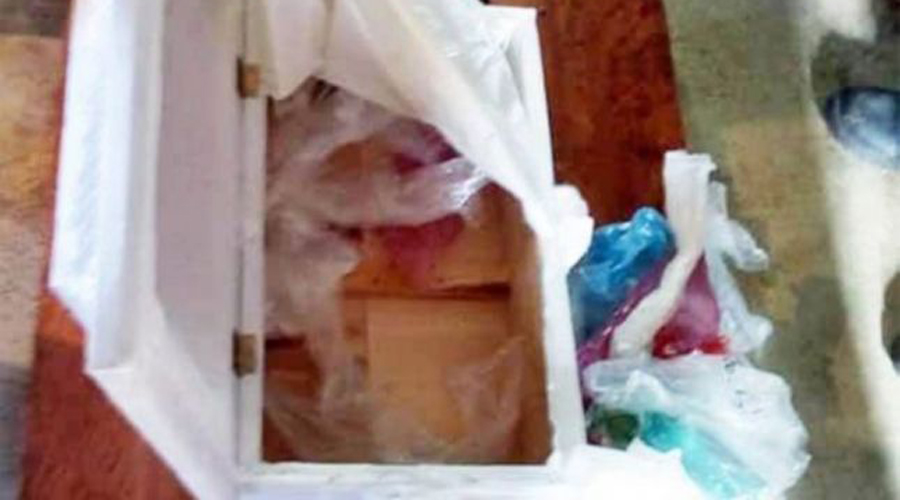 Hospital entrega ataúd de bebé sin el cuerpo; padres se dan cuenta en velorio | El Imparcial de Oaxaca