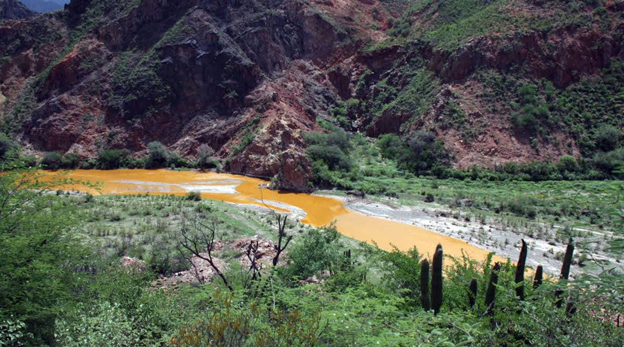 Cinco años de tragedia ambiental; derrame tóxico en río Sonora sigue causando estragos | El Imparcial de Oaxaca