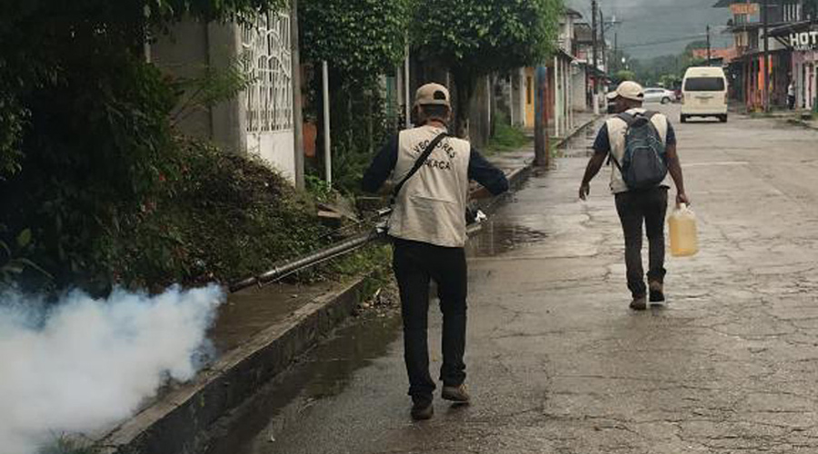 Sigue activo el dengue en Oaxaca | El Imparcial de Oaxaca
