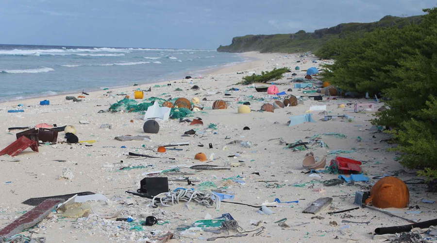 Plástico entierra a la isla Henderson, patrimonio mundial por su “ecología intacta” | El Imparcial de Oaxaca