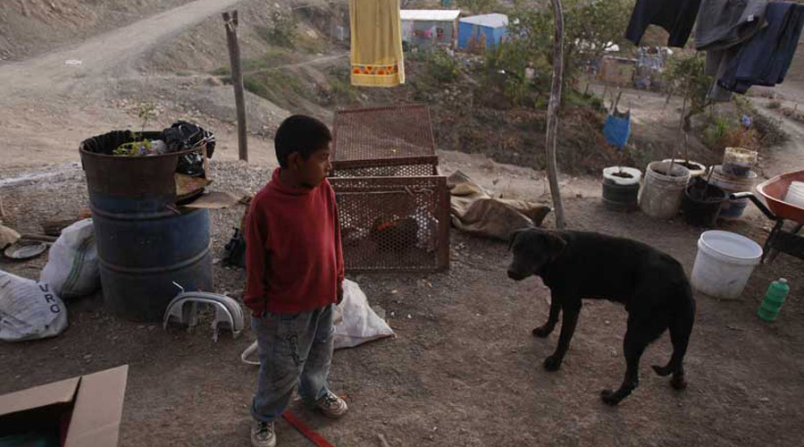 Más de 60 millones de mexicanos vivían en pobreza extrema: Coneval | El Imparcial de Oaxaca