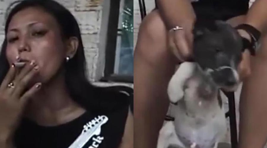 Mujer apaga cigarro en los ojos de un perro y le rompe las patas | El Imparcial de Oaxaca