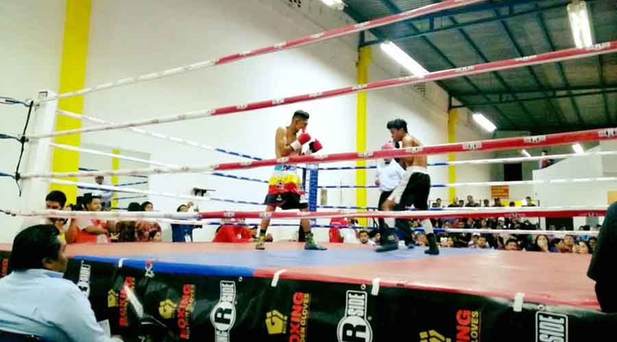 Soltaron los puños en el Club de Boxeo Rojo de Santa Cruz Xoxocotlán