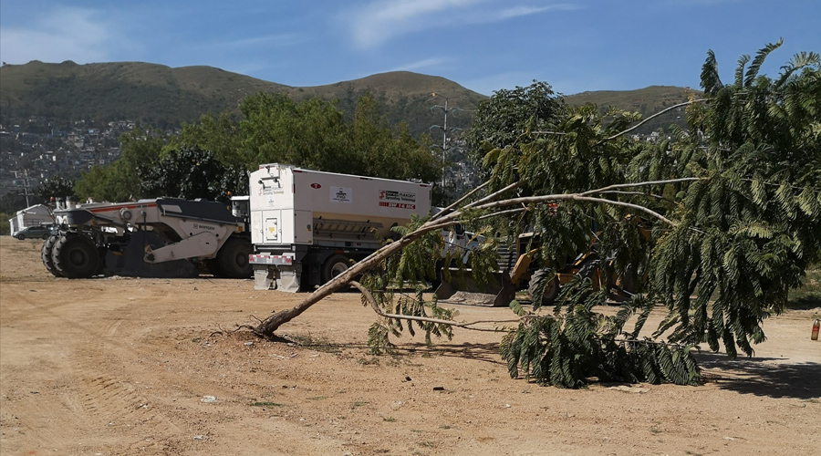Derriban más  árboles en el playón del Atoyac | El Imparcial de Oaxaca