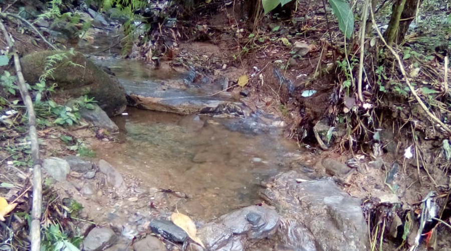 Limpian en Huautla de Jiménez manantiales y ojos de agua | El Imparcial de Oaxaca