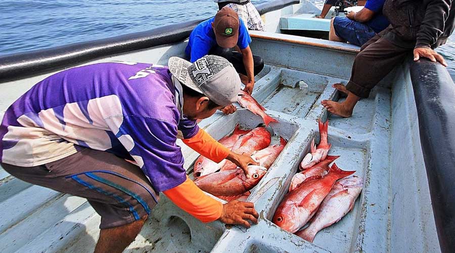 Lamentan falta de atención al sector pesquero ribereño | El Imparcial de Oaxaca