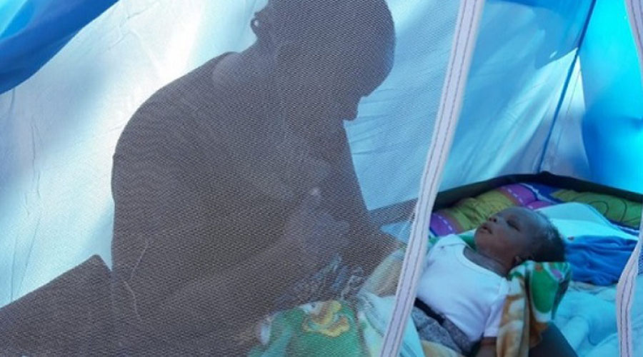 Migrantes africanos nombran a su bebé Andrés Manuel López Obrador | El Imparcial de Oaxaca