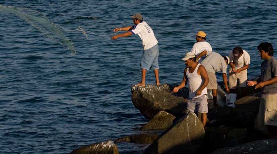 Se deslinda Sedapa de problemática pesquera en el Istmo de Tehuantepec | El Imparcial de Oaxaca