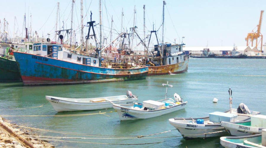 Preocupa inicio de temporada de pesca | El Imparcial de Oaxaca