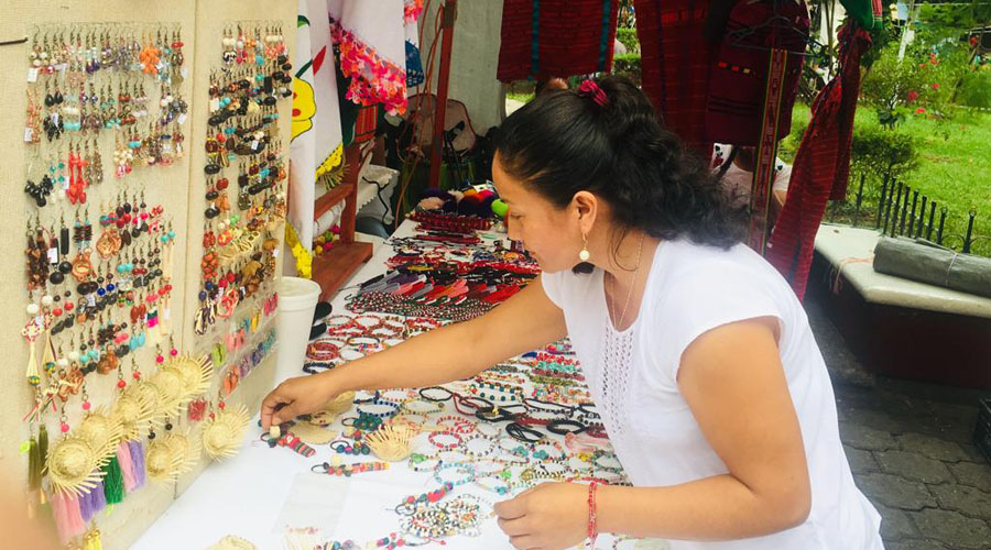 Resalta el arte a base de semillas en la Mixteca