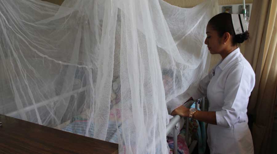 Reportan 43 hospitalizados por dengue en la entidad oaxaqueña | El Imparcial de Oaxaca