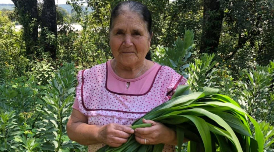 Video: Abuelita lanza canal de cocina en YouTube y conmueve a internet | El Imparcial de Oaxaca