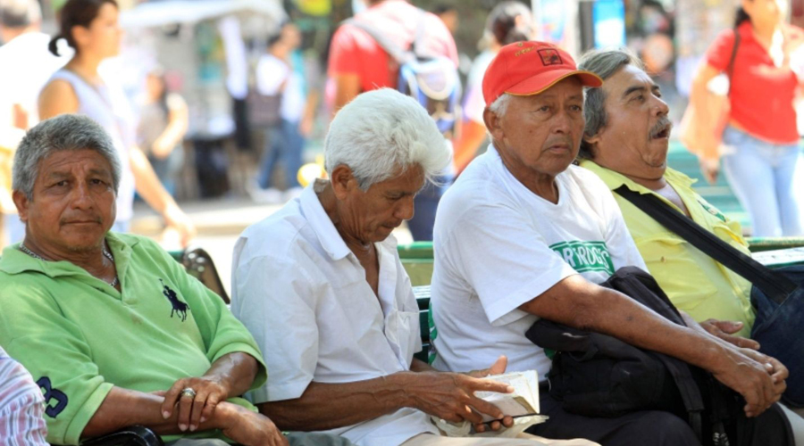 Adultos mayores trabajadores ganan poco y tienen pensiones que no alcanzan | El Imparcial de Oaxaca